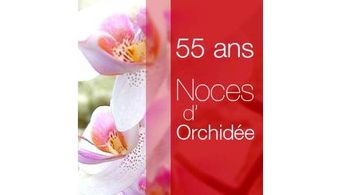 Noces d'orchidée pour Liesel et Chrétien